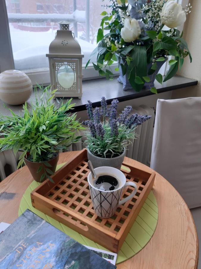 Pitea Vandrarhem Luaran gambar